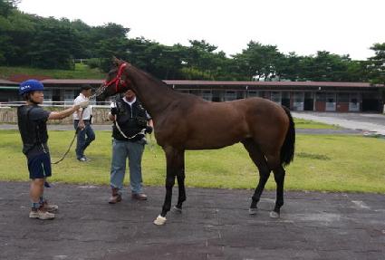 ���� ����