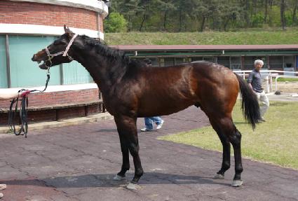 ���ϴ�� ����