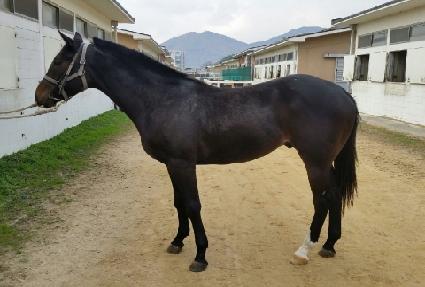 Ȳ�ݺ�û�� ����