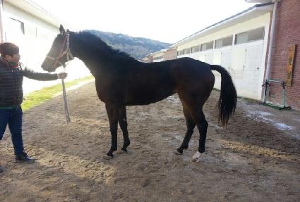 ���ٵ��� ����