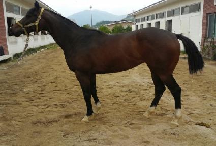 ������� ����