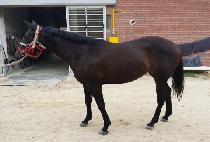 ���̵��� (NOEIDONGJI) ����