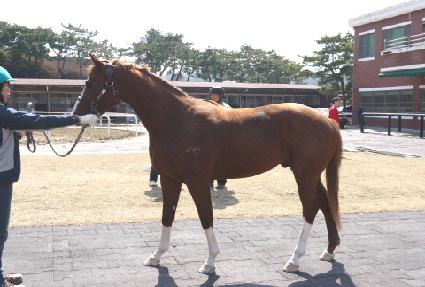 ŷ�����ε� ����