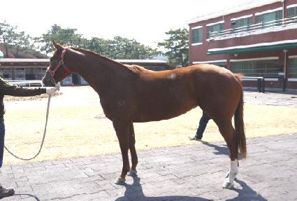 ���̾𰶷��� ����