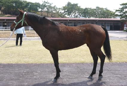 �����Ѱ� ����