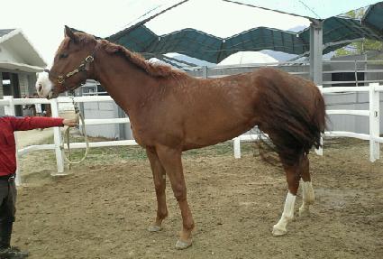 �븶�ʽ� ����