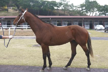 �븶���� ����