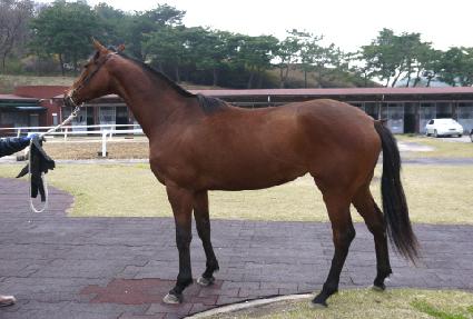 �����̽� ����