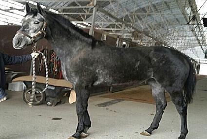 �����Ϲ� ����