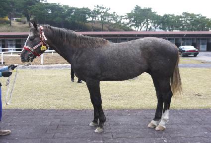 ���̽�ķ�� ����