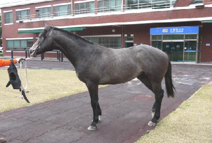 ��Ʈ���丮 ����