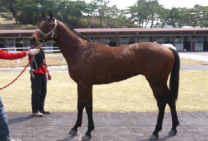 �������� ����