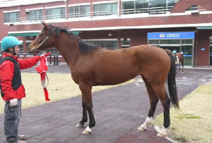 �·��� ����