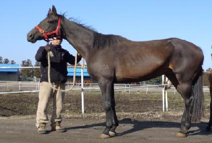 ������ ����