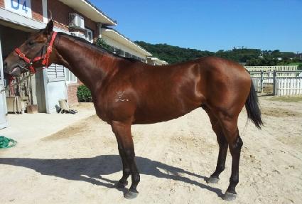 �������״Ͼ� ����