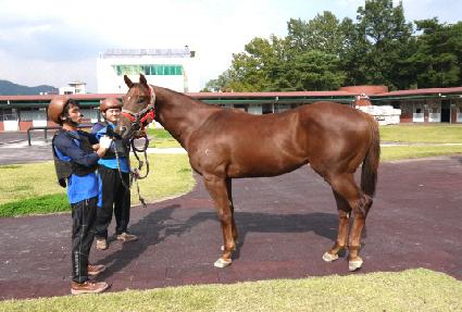 ��ƮŸ�� ����