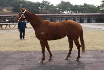 ���� (HAENGUNNYEOJE) ����