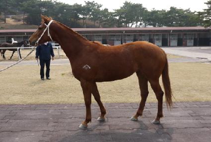 ���� ����