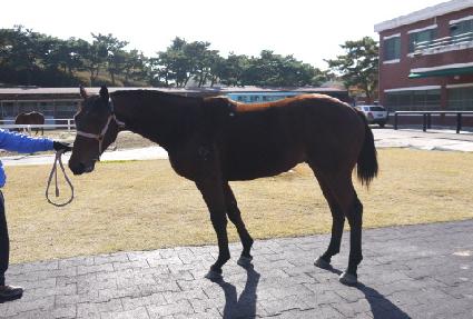 ����Ŭ����Ʈ ����