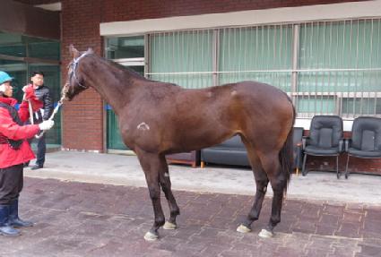 �����Ķ��Ÿ ����