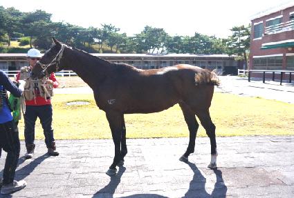 �̽�Ʈ�۷θ� ����