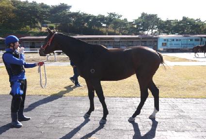 �������� ����