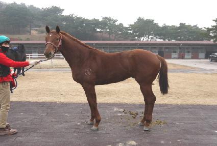 ��Ͼ�Ƽ�� ����