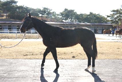 ������ũ ����