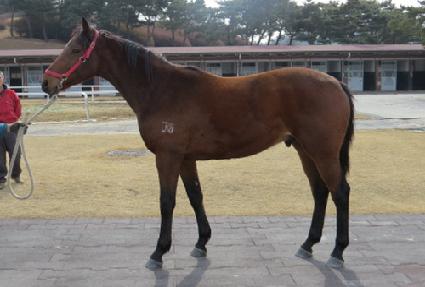 �������� ����