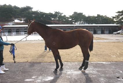 ��Ȳ��� ����