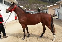 �����ǽð� (SEONTAEKUI SIGAN) ����