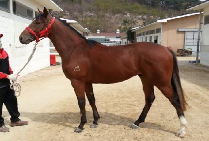 �����ǽð� ����