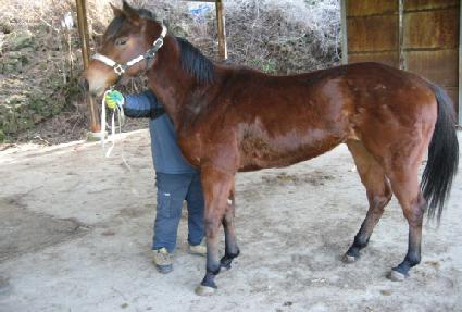 ���ġ�� ����