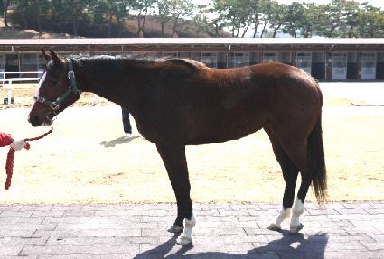 ��Ʈ���ʸ� ����