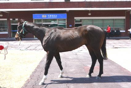 Ȳ��ž ����