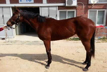 ����� ����