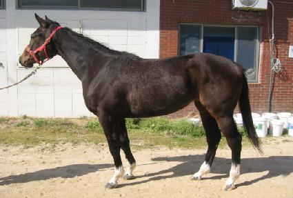 ���Ŀ��� ����