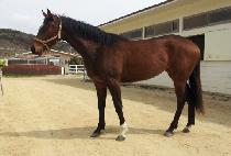 �ູ���� (HAENGBOK JILJU) ����