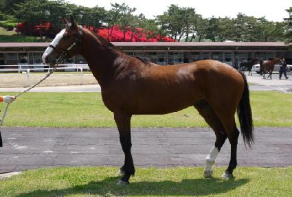 Ȳ�ݰ��� ����