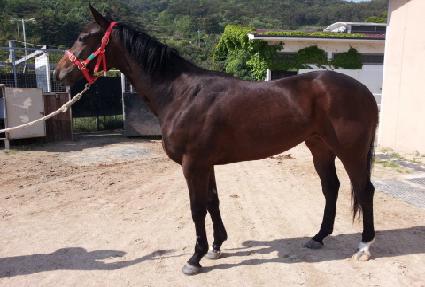 ��ٺ��� ����