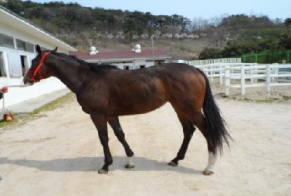 �ȳ������̵� ����