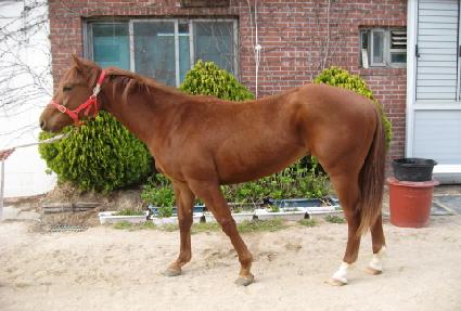 ��ٸ���ǳ ����