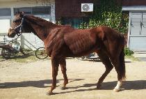 ������ũ���޸� (BLAKE��S HUMOR) ����