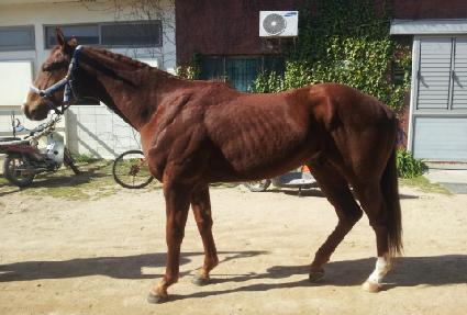 ������ũ���޸� ����