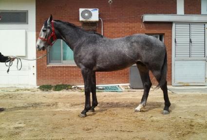 �̽�������� ����