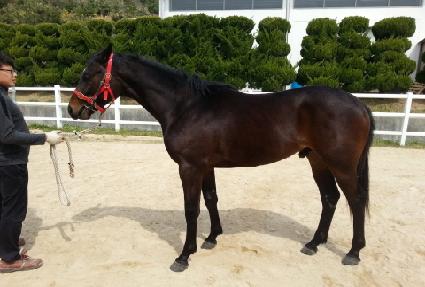 ������ٸ������� ����