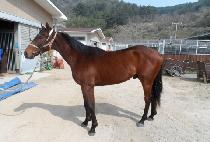 ���ֽ»� (JILJU SEUNGSANG) ����