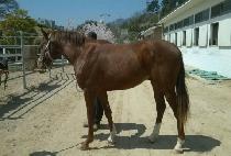 �ΰ�ô� (BUGYEONG SIDAE) ����