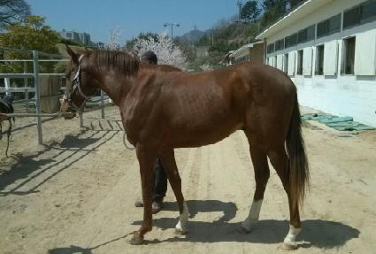 �ΰ�ô� ����