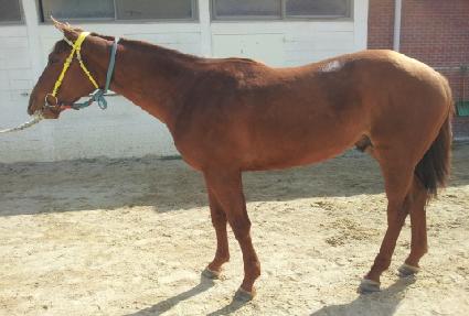 ������ε� ����